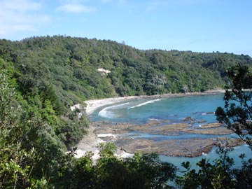 Otarawairere Bay
