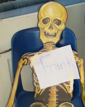 Frank the skeleton