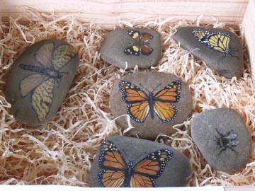 Butterfly rocks